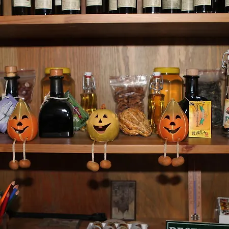 宾馆 哨兵宾馆 Szalafő